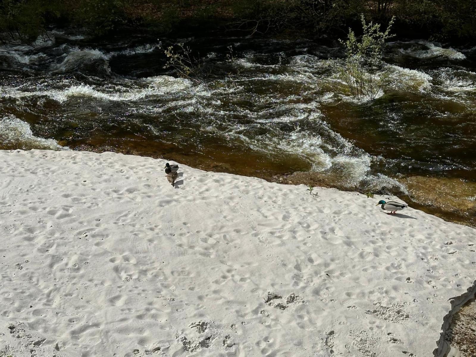 Horsky Penzion U Splavu Josefŭv Dŭl Esterno foto